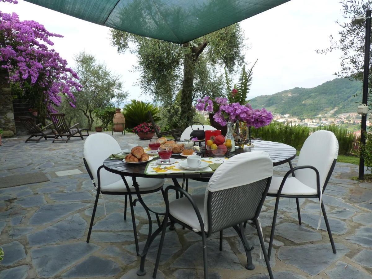 La Gatta Sul Sentiero Bed & Breakfast San Salvatore  ภายนอก รูปภาพ