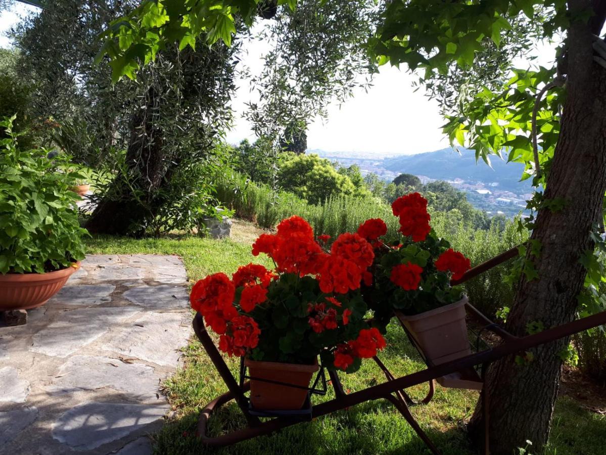 La Gatta Sul Sentiero Bed & Breakfast San Salvatore  ภายนอก รูปภาพ