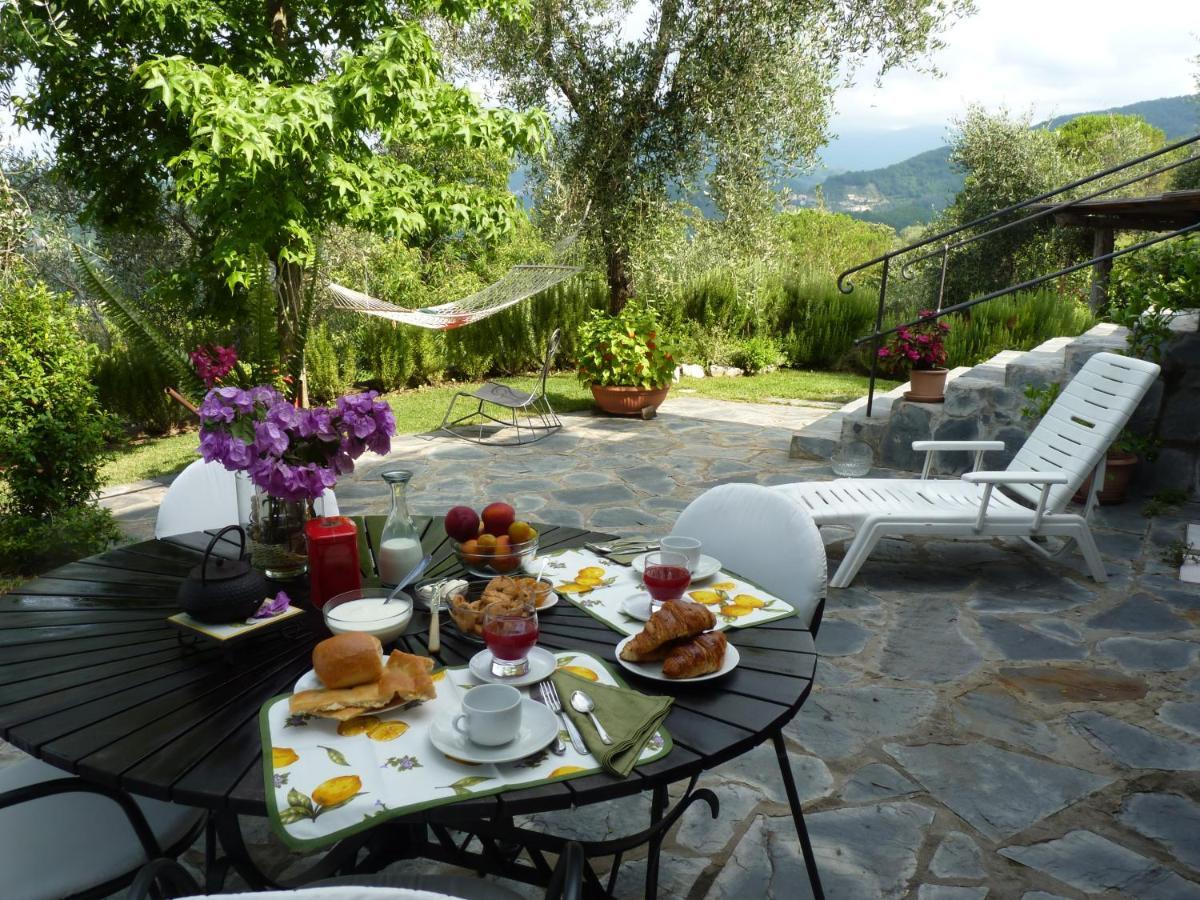 La Gatta Sul Sentiero Bed & Breakfast San Salvatore  ภายนอก รูปภาพ