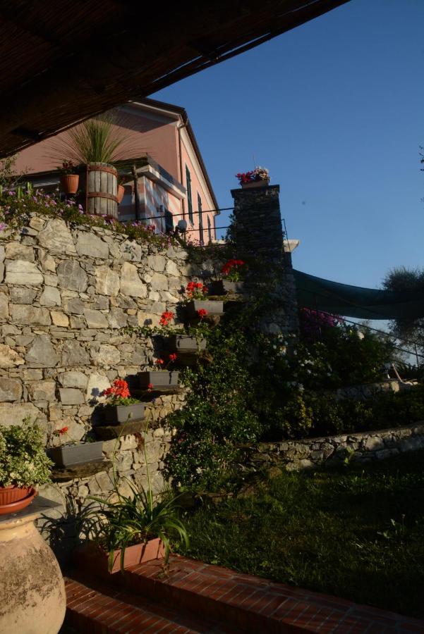 La Gatta Sul Sentiero Bed & Breakfast San Salvatore  ภายนอก รูปภาพ