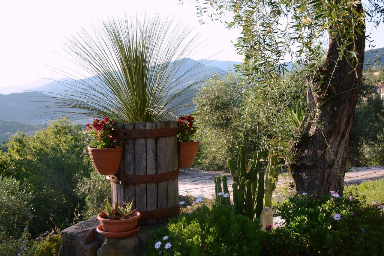 La Gatta Sul Sentiero Bed & Breakfast San Salvatore  ภายนอก รูปภาพ